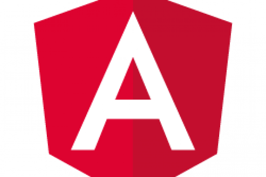 Công ty Cổ phần Đầu tư Digital Kingdom tuyển Frontend Angular Developer (HTML5/CSS)